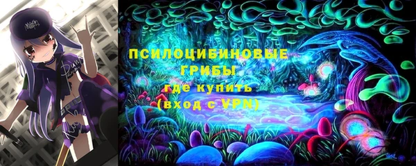 прущая мука Верея