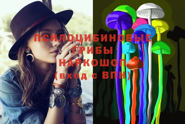 спиды Богородицк