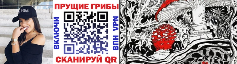Купить  Надым  Псилоцибиновые грибы Psilocybe 